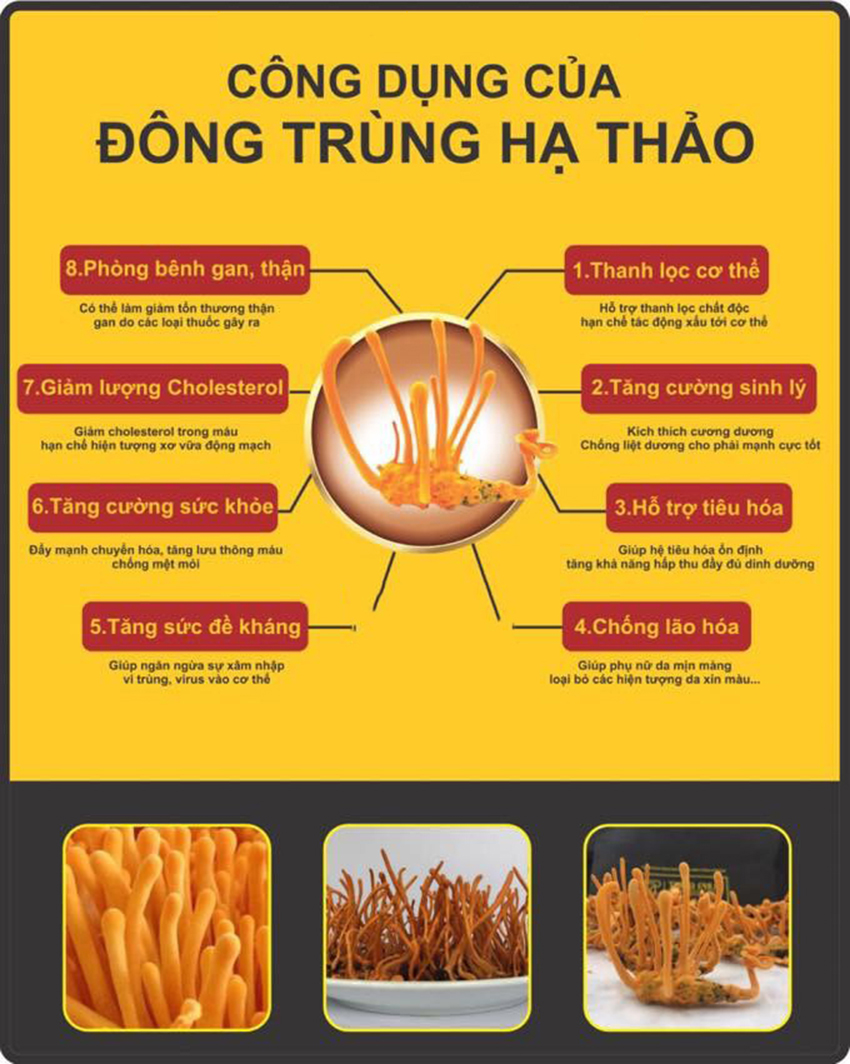 Cong Dung Dong Trung Ha Thao Ngam Ruou Skv